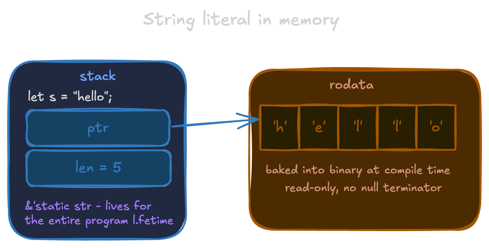 String literal in Rust: stack on the left with two fields ptr and len=5, heap in the middle empty and grayed out labeled "no allocation", rodata on the right containing 'h' 'e' 'l' 'l' 'o' — arrow from the stack pointer skipping the heap entirely and landing on the rodata bytes, labeled &'static str